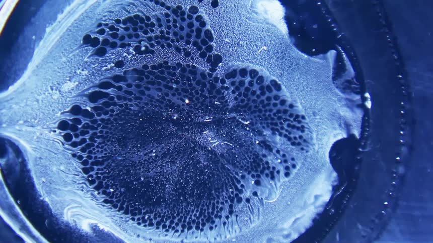 A droplet of blue liquid spreads and then the contents rupture and churn in an abstract manner