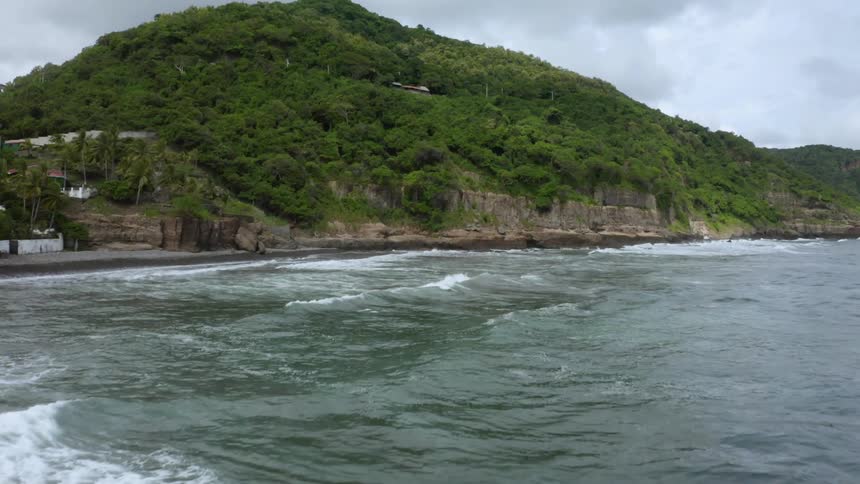 Ocean waves flow towards a beach covered with green vegetation