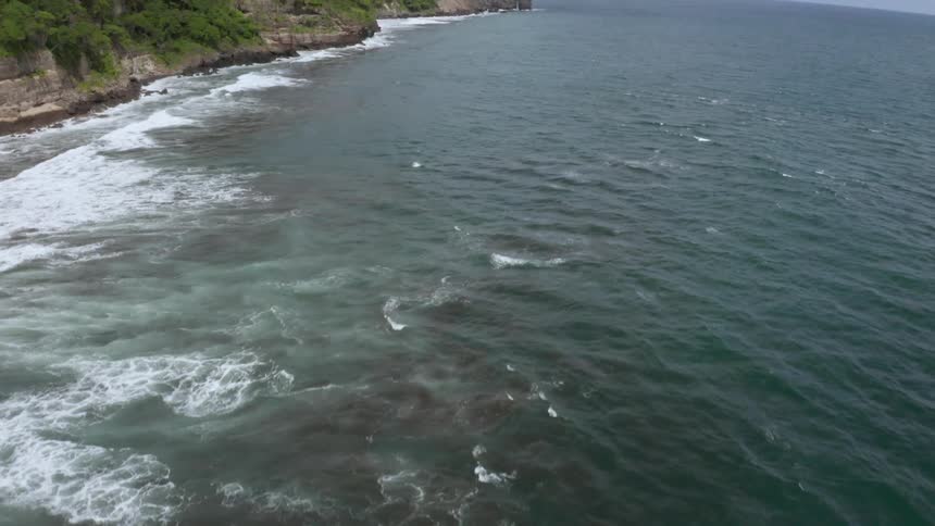 Coastal land with trees and waves with the sky in the background