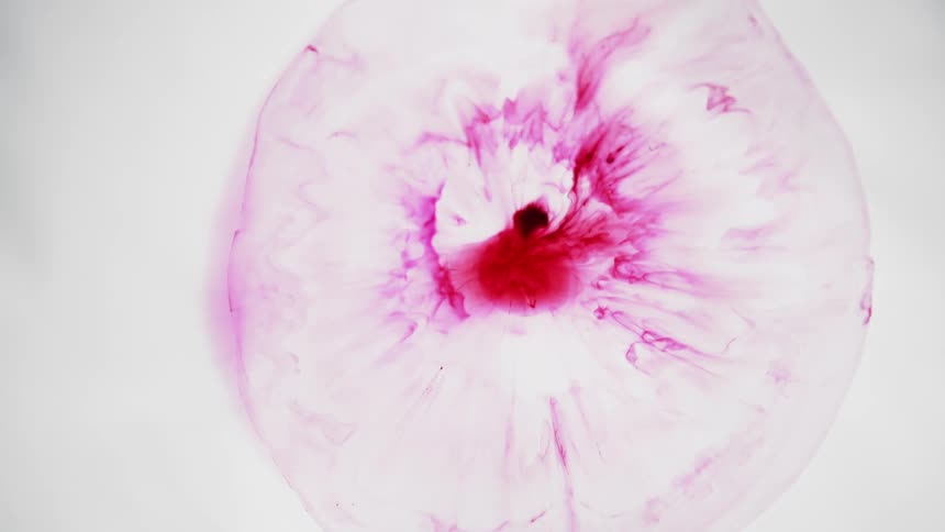 Pink dye spreads out and diffuses