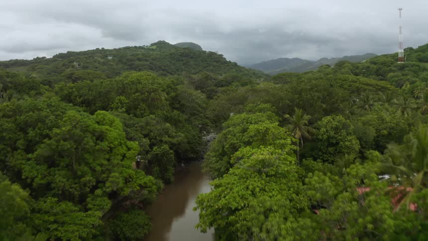 A river carves its way through a dense tropical forest and is lined with numerous residences