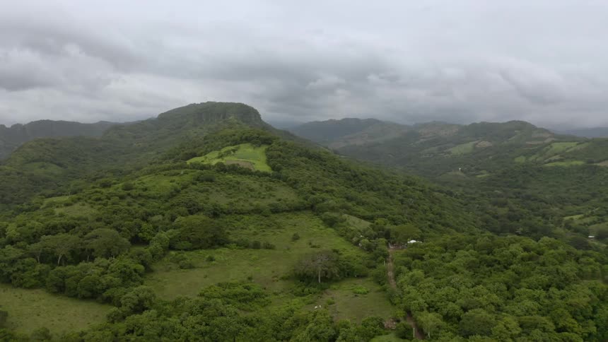 An aerial view of a forest along mountains is displayed