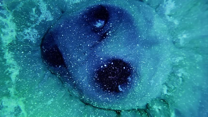 Abstract blob of colored liquid bubbling and rippling