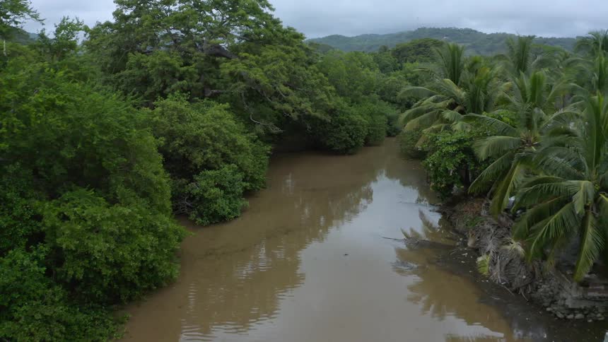A river with trees and the sky in the background