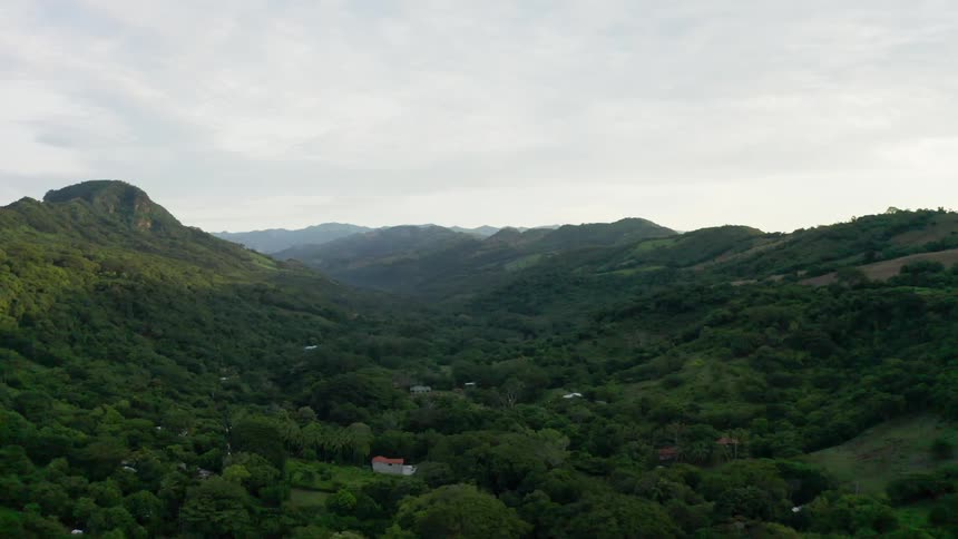 A lush jungle full of bright green trees and plant covered mountains
