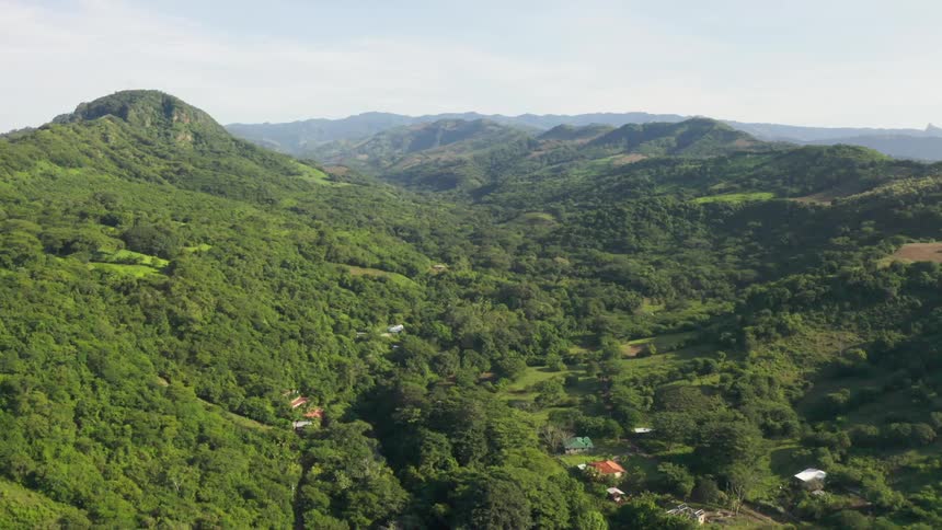 An aerial view of a forest area is displayed