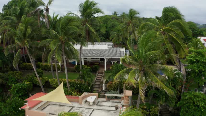 Houses surrounded by palm trees blowing in the breeze