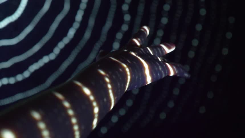 Lines of light illuminate a womans outstretched hand in the dark