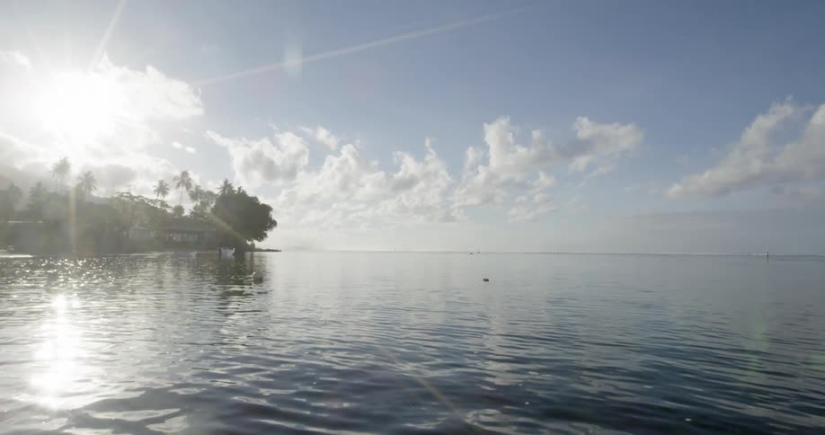 Sun glints off rippling surface of water near shore
