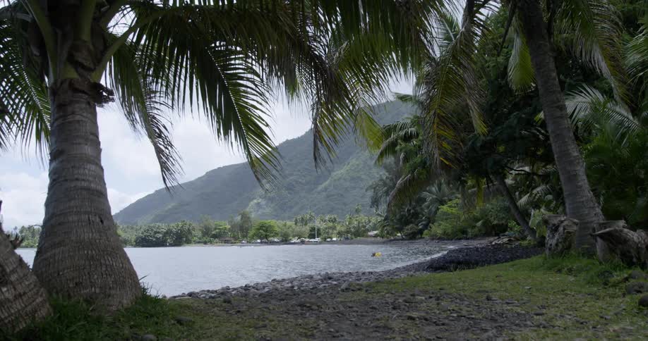 Landscape view of the shoreline and water with a person and a surfboard