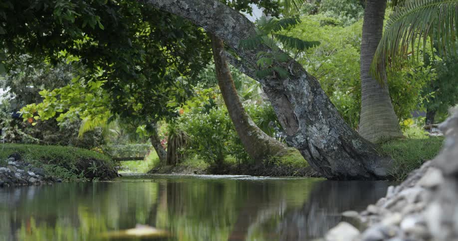 The water is calm in the wilderness
