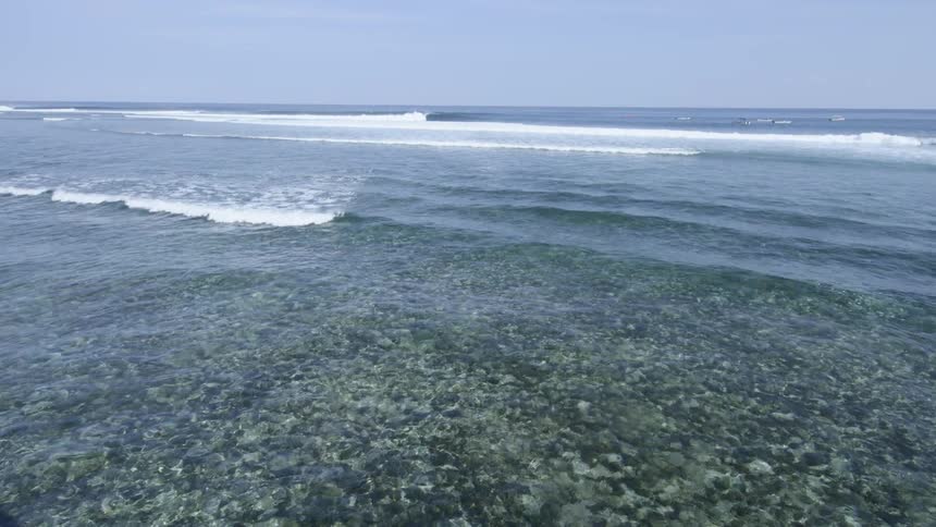 The clear water waves