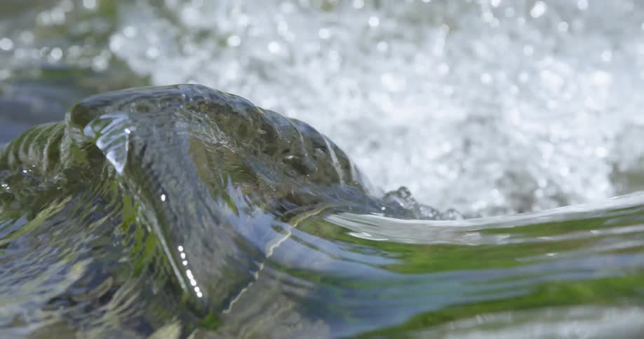 Water flows swiftly along a river and swirls over a submerged rock