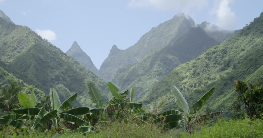 The mountains are foggy and covered with grass