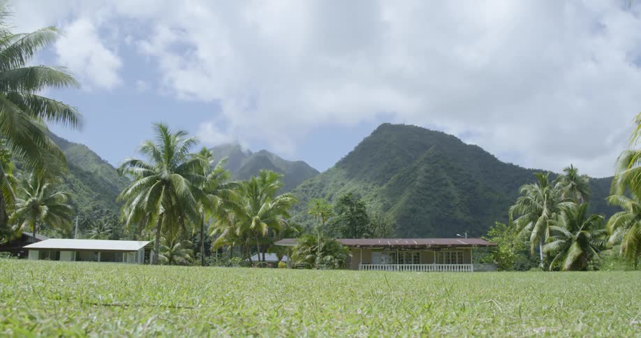 A single story residence is in a tropical locale with palm trees and mountains covered in lush vegetation