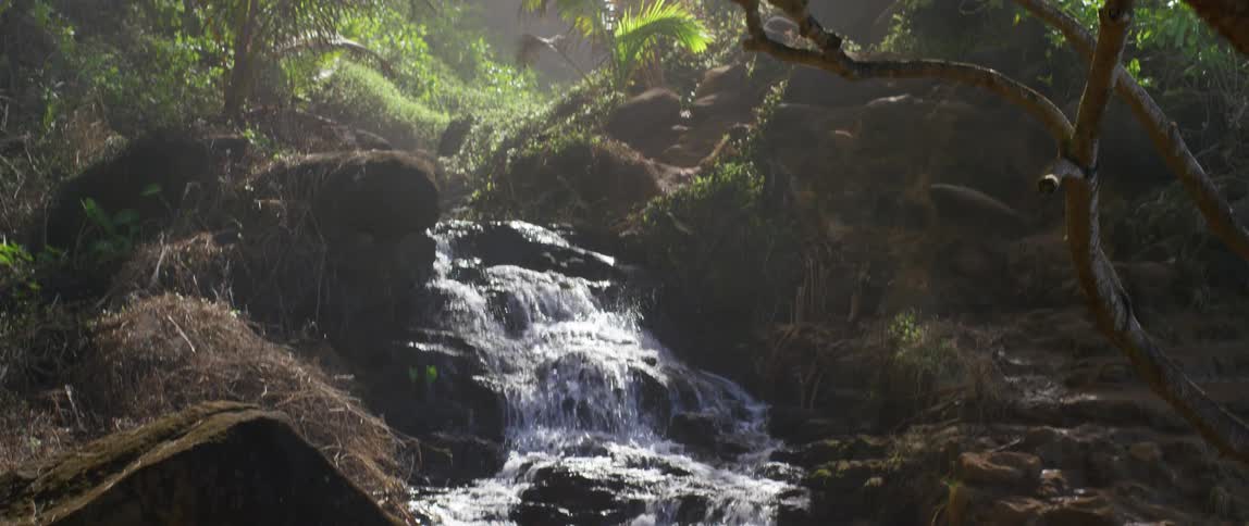 A waterfall rushes down several levels of rocks in a rainforest