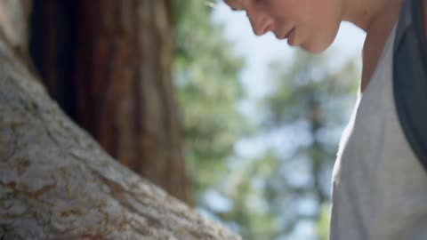A young woman looks up at a tree and runs her hand over the trunk