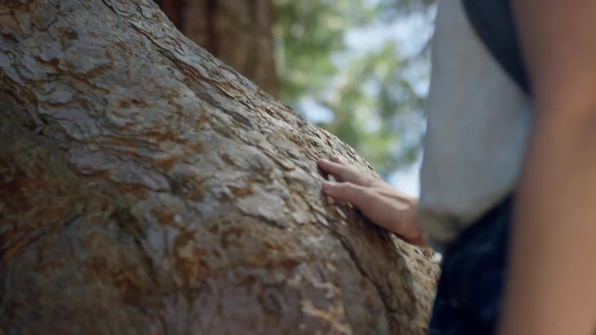 A woman stands at a large tree