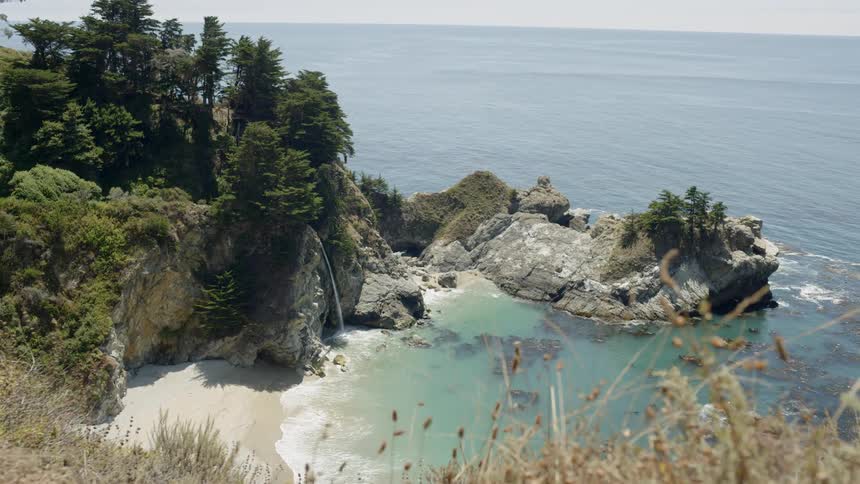 The coastline with trees on top of a cliff