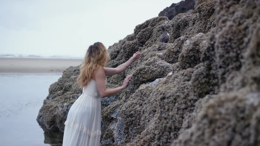 A woman reaches towards a seabird sitting on rocks at the ocean