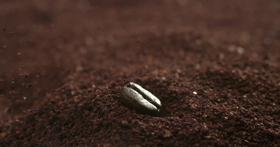 A coffee bean falling into a pile of coffee grinds