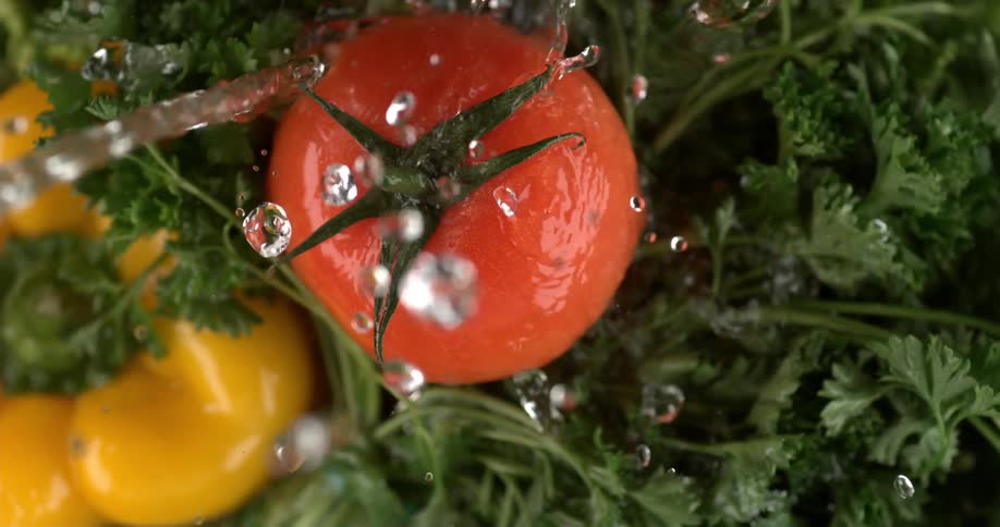 Clear water is being poured over a bright red tomato that is resting atop a bunch of parsley