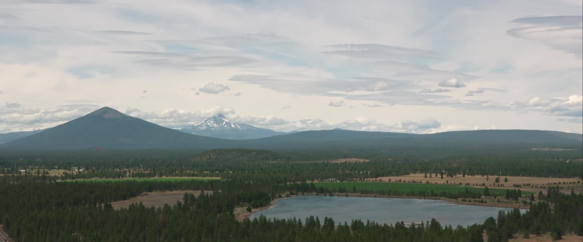 An aerial view of trees by a mountain is displayed