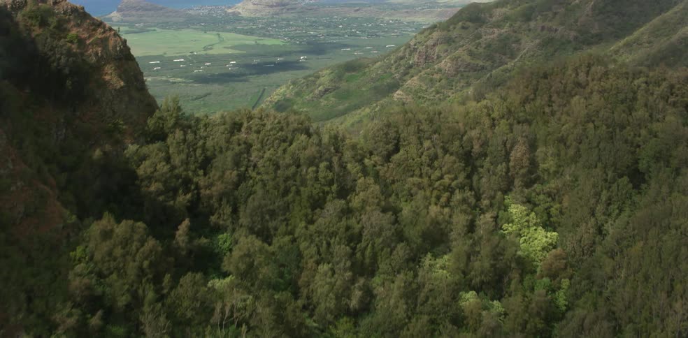 Mountains covered in greenery near the sea