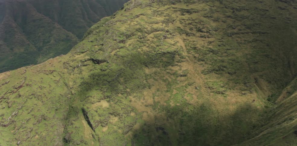 Low lying cloud layer touches peaks of vegetation covered mountain range