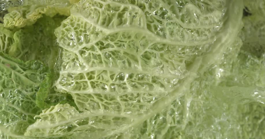 The lettuce is being washed with water