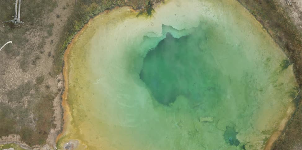 Vapor rises from colorful geothermal pool in lightly vegetated land bordered by forest