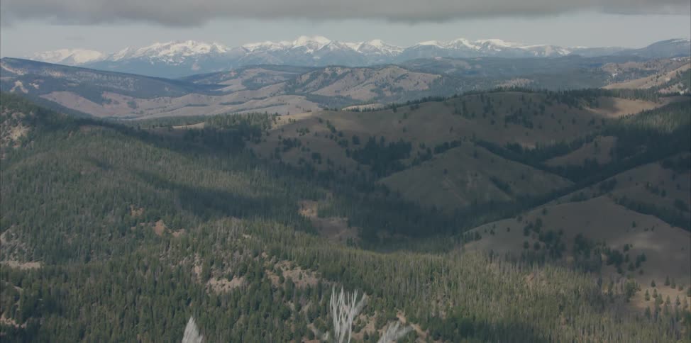Through a cluster of frost covered trees an expansive forest covered mountain range spreads out below