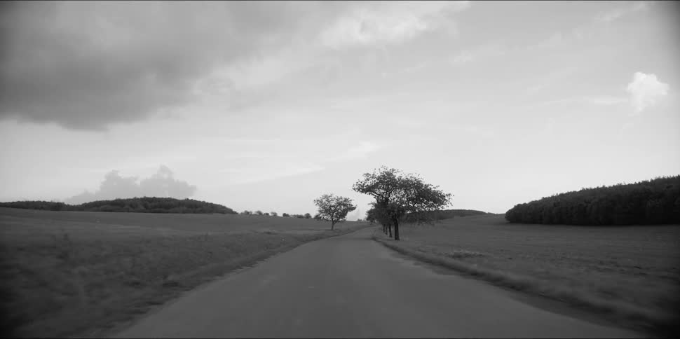 Trees are sparsely planted along a narrow rural road