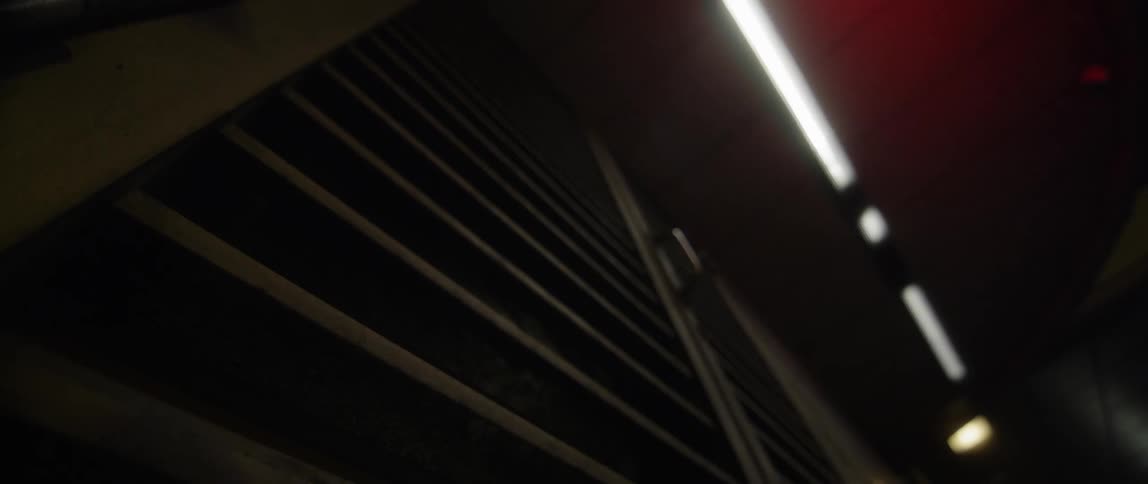 The light flashes on the shelves