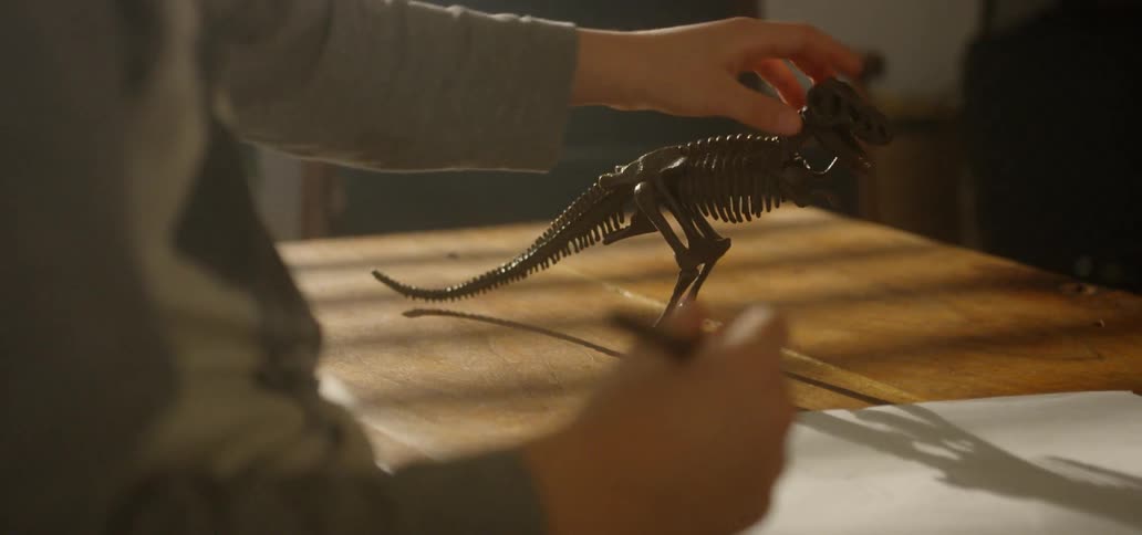 A boy adjusting a dinosaur skeleton toy in order to draw a sketch of it