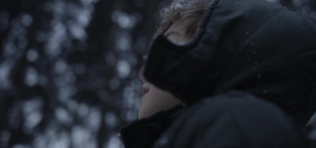 A young boy wearing a thick jacket stands outdoors in a snow covered forest
