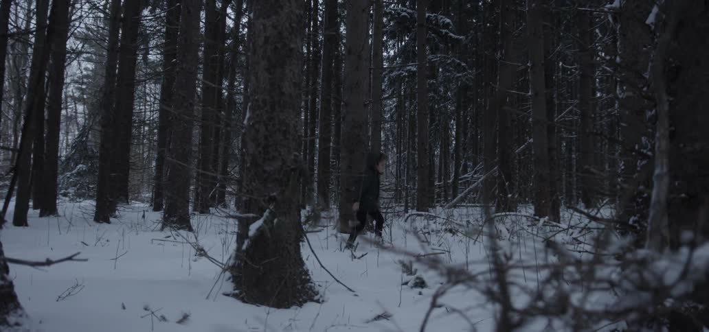 A child is walking through the woods