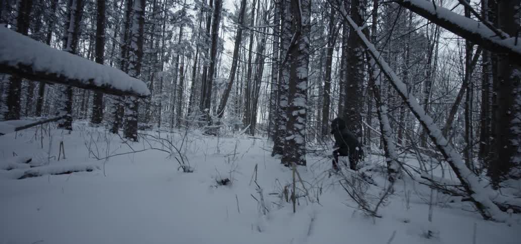 A person walks through a snow filled wooded area carefully
