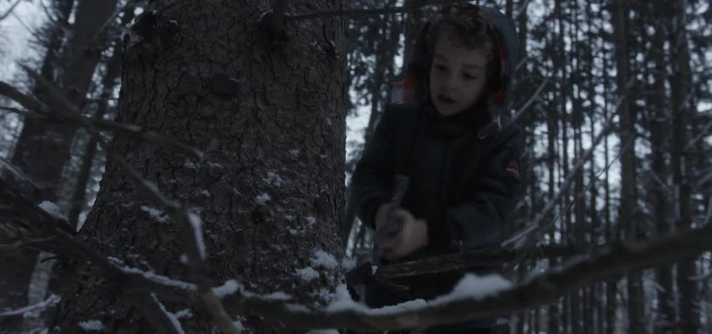 A young boy uses an ax to cut a branch from a tree
