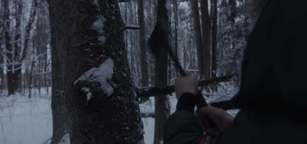 A boy using a hatchet to chop a small branch from a tree
