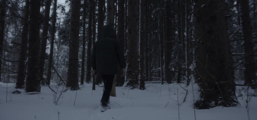 Child walks through snow in woods