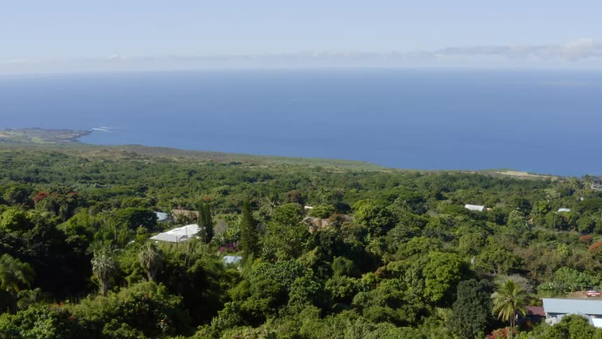 An aerial view of a forest area by the ocean is displayed
