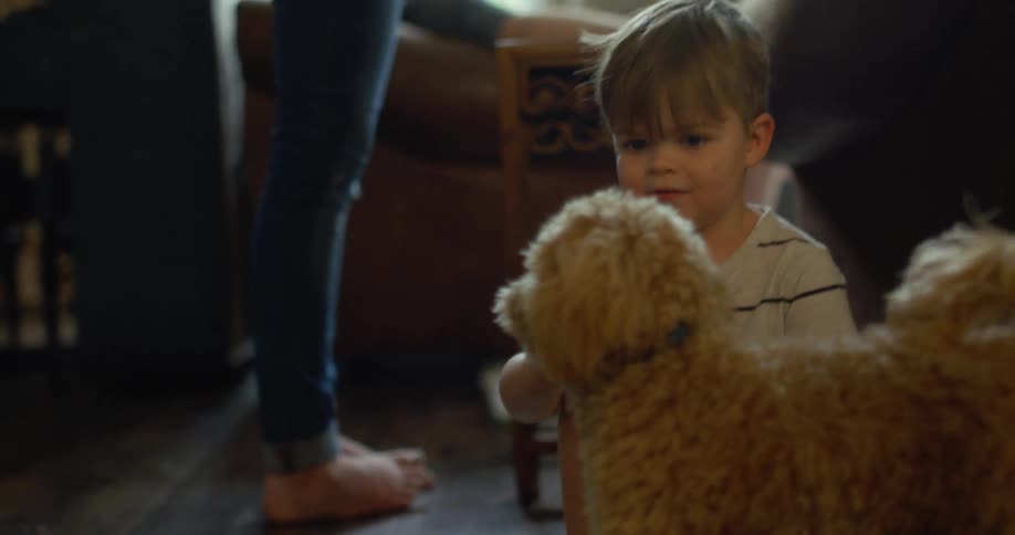 A young boy watching as an adult plays with a small dog