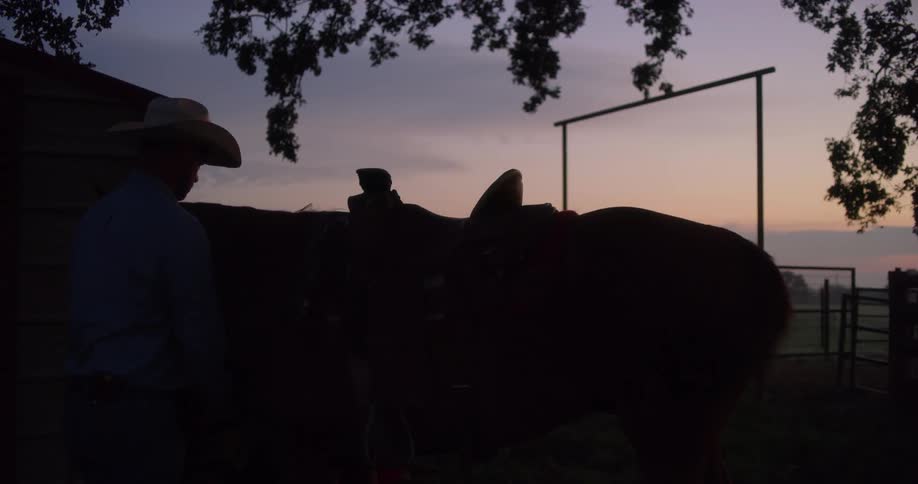 Man prepares to get on the horse at the stable at dusk