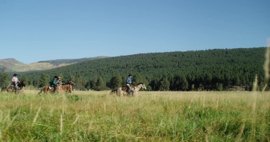 Four men ride horses across a field
