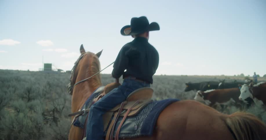 A young boy rides horseback as he herds cattle