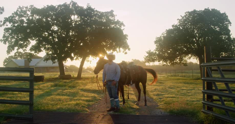 Man stands by the horse in the farm at sunset