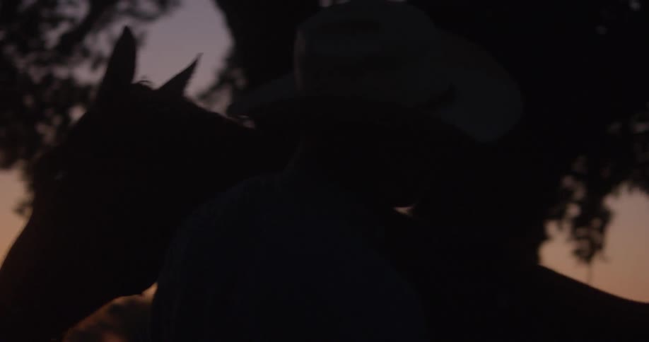 Mans silhouette grooms horse at dusk