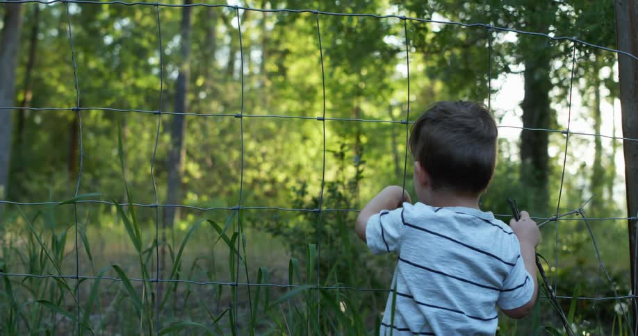 A toddler boy holds onto a fence in a forested area on a sunny day
