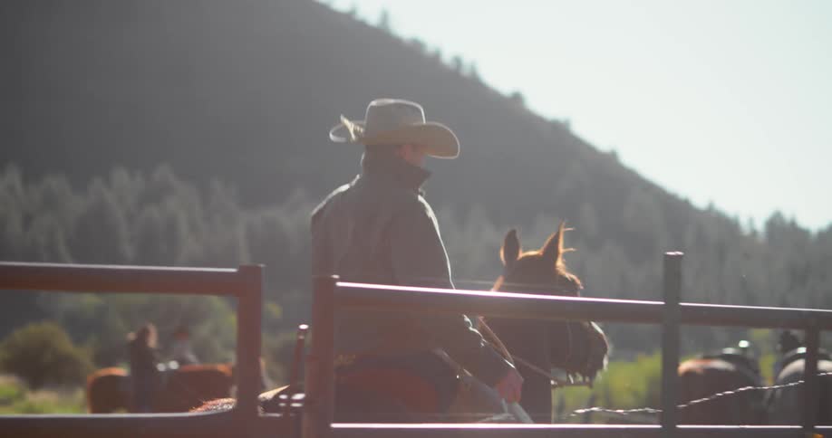 A cowboy rides a horse along a fence in a paddock on a sunny day